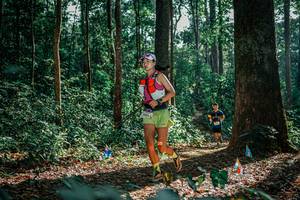 BIB: 
                            <button type="button" onclick="openModal(26130532)" class="btn btn-primary btn-sm float-right btn-popup" data-toggle="modal" data-target=".modal-high-quality">
                        <i class="fas fa-shopping-cart"></i> Add to Cart
                    </button>
                                            <button type="button" onclick="isThisMe(26130532, true)" class="btn btn-success btn-sm float-right btn-popup btn-isme hidden" data-toggle="tooltip" data-placement="bottom" title="นี่คือรูปของคุณใช่ไหม คลิกที่นี่เพื่อเอาเข้าอัลบั้ม">
                        <i class="fas fa-plus"></i> Add to album
                    </button>
                    <button type="button" onclick="isThisMe(26130532, false)" class="btn btn-warning btn-sm float-right btn-popup btn-isnotme hidden">
                        <i class="fas fa-ban"></i> Remove from album
                    </button>